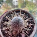 Наталья, фото