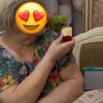 Ожереловый попугай, в Москве