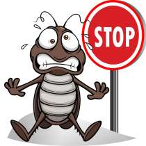 Травлю тараканов. С гарантией до 3 лет. Профессионально, в Москве