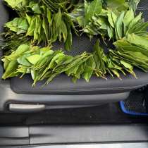 Лаврушка, в Ставрополе