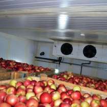 Монтаж холодильных камер для хранения яблок в Крыму, в Симферополе