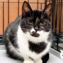 Робкая Тамара ищет любящую семью, в Москве