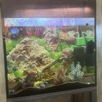 Аквариум 270-290л самовывоз, в Краснодаре