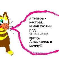 Кастрация котов, кобелей недорого (у вас на дому)! В Москве, в Москве