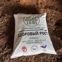 Субстрат, в Москве