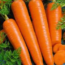 Продаю картофель морковь, в Чебоксарах