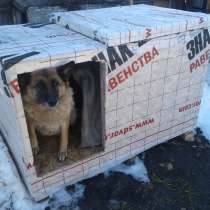 Будка для собаки, в Тюмени