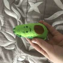 Самодельные игрушки, в Таганроге
