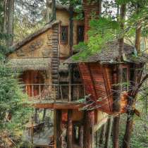 Дом на Дереве. Круглый Год. Подарок к НГ), в Москве