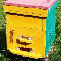 Улья с пчелами и для пчел, в Саранске