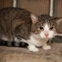 Скромный Гарри в поисках уютного дома, в Москве