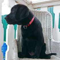 Алиментный мальчик, в Москве