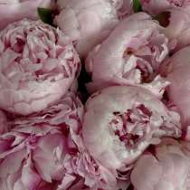 Уборка, клининг, в Грозном