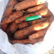 Морковь 1сорт, в Семикаракорске