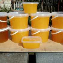 Мёд натуральный, в Севастополе