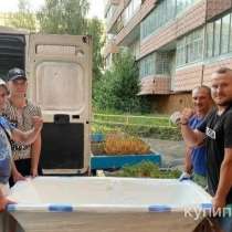 Вывоз мусора, в Саратове