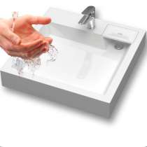 Раковина, в Геленджике