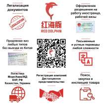 Услуги Пекинской Консалтинговой Компании «Red Dolphin», в г.Пекин