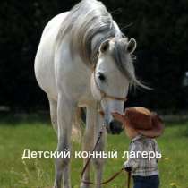 Детский конный лагерь, в Смоленске