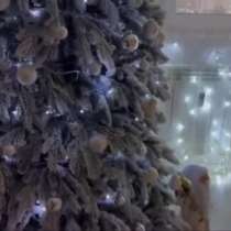 Продается Елочка ставили всего 1 год, в Красноярске