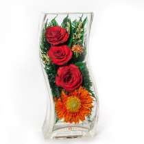 Герберы, в Москве