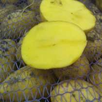 Картофель оптом от фермера c доставкой., в Чебоксарах