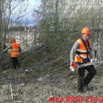 СПИЛ ДЕРЕВЬЕВ, КУСТОВ, ПОКОС ТРАВЫ, ИТД. ВСПАШКА ЗЕМЛИ, в Омске
