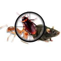Уничтожение блох клопов тараканов муравьев крыс мышей и др, в Пятигорске
