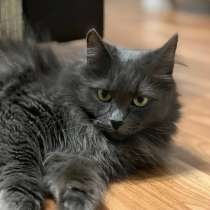 Шикарная Марси, в г.Минск