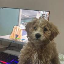 Мальтипу, в г.Аланья