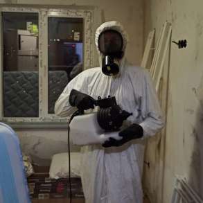 Уничтожение клопов, тараканов. Частный мастер, в Москве