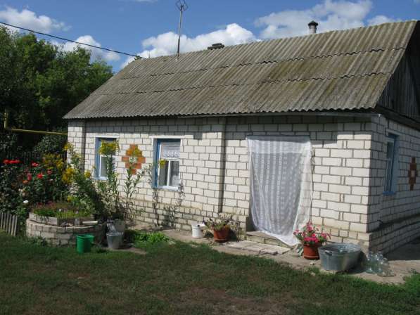 Продается дом в деревне с большим участком, х. Прудки в Михайловке фото 3