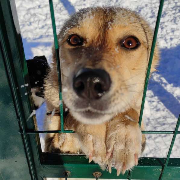 Веселая, озорная Эри ищет семью