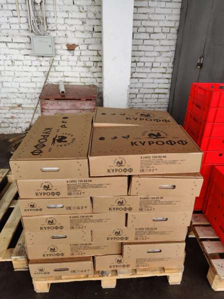 Куриная разделка от производителя Курофф в Ярославле в Ярославле