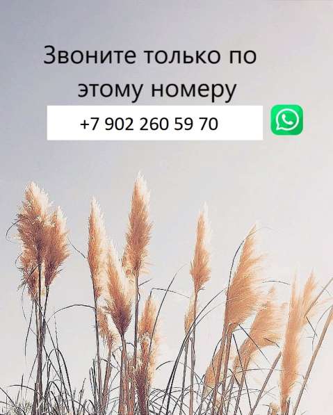 Сдам двухкомнатную квартиру около м. Чкаловская в Екатеринбурге фото 5