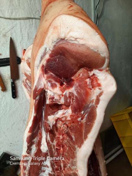 Мясо свинина говядина баранина курятина розница опт в Казани фото 7