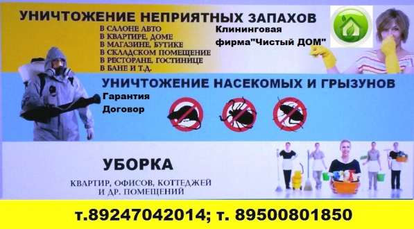 Обработка от насекомых