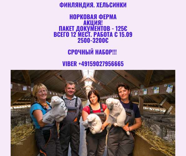 Ферма по выращиванию норок