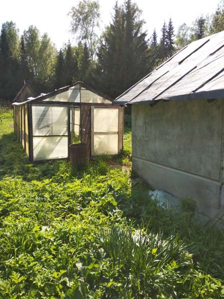 Участок 7,4 сот. (СНТ, ДНП) в Новосибирске фото 14