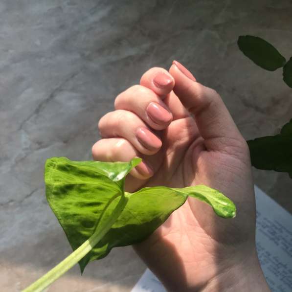 Маникюр в Санкт-Петербурге фото 4