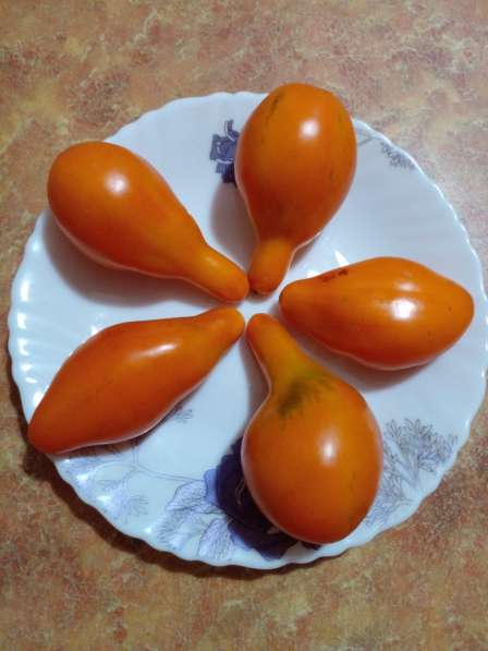Семена урожайных томатов в Барнауле фото 5