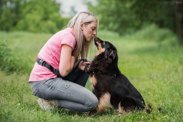 Чудо-собачка Фиби ищет семью в Москве фото 3