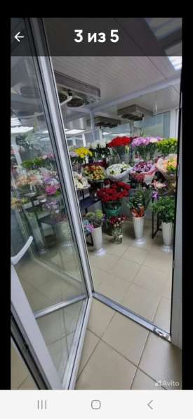 Холодильная камера для цветов бу СПб в Санкт-Петербурге