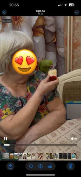 Ожереловый попугай