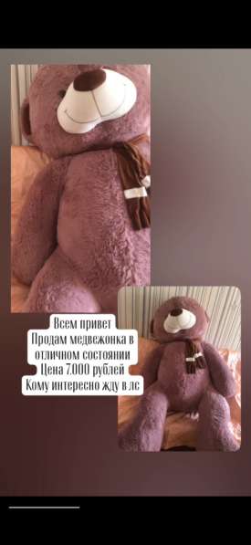 Плюшевый мишка