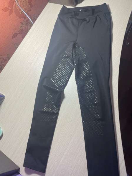 Конные бриджи