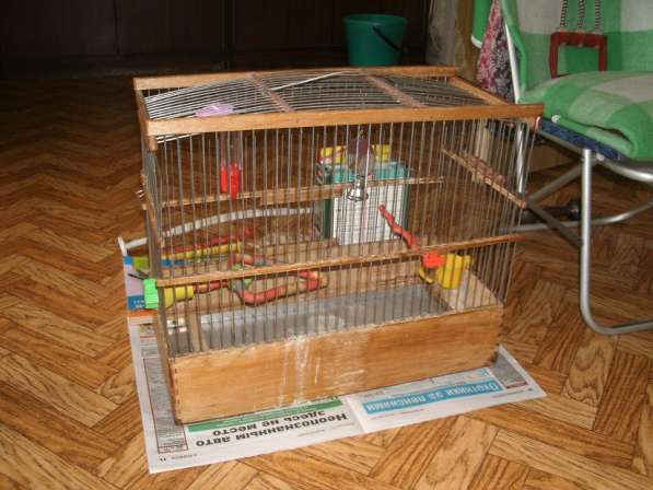 Клетка для средних птиц в Москве фото 5