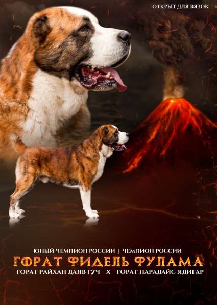 Вязка в Москве фото 17