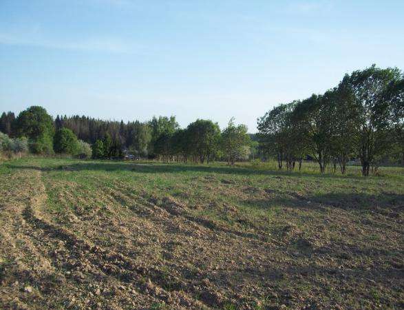 Продается земельный участок 10 соток в д. Межутино Можайский р-н, 143 км от МКАД по Минскому шоссе в Можайске фото 4