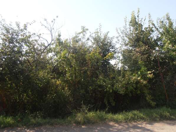 Срочно продам участок в пригороде Еревана в фото 18